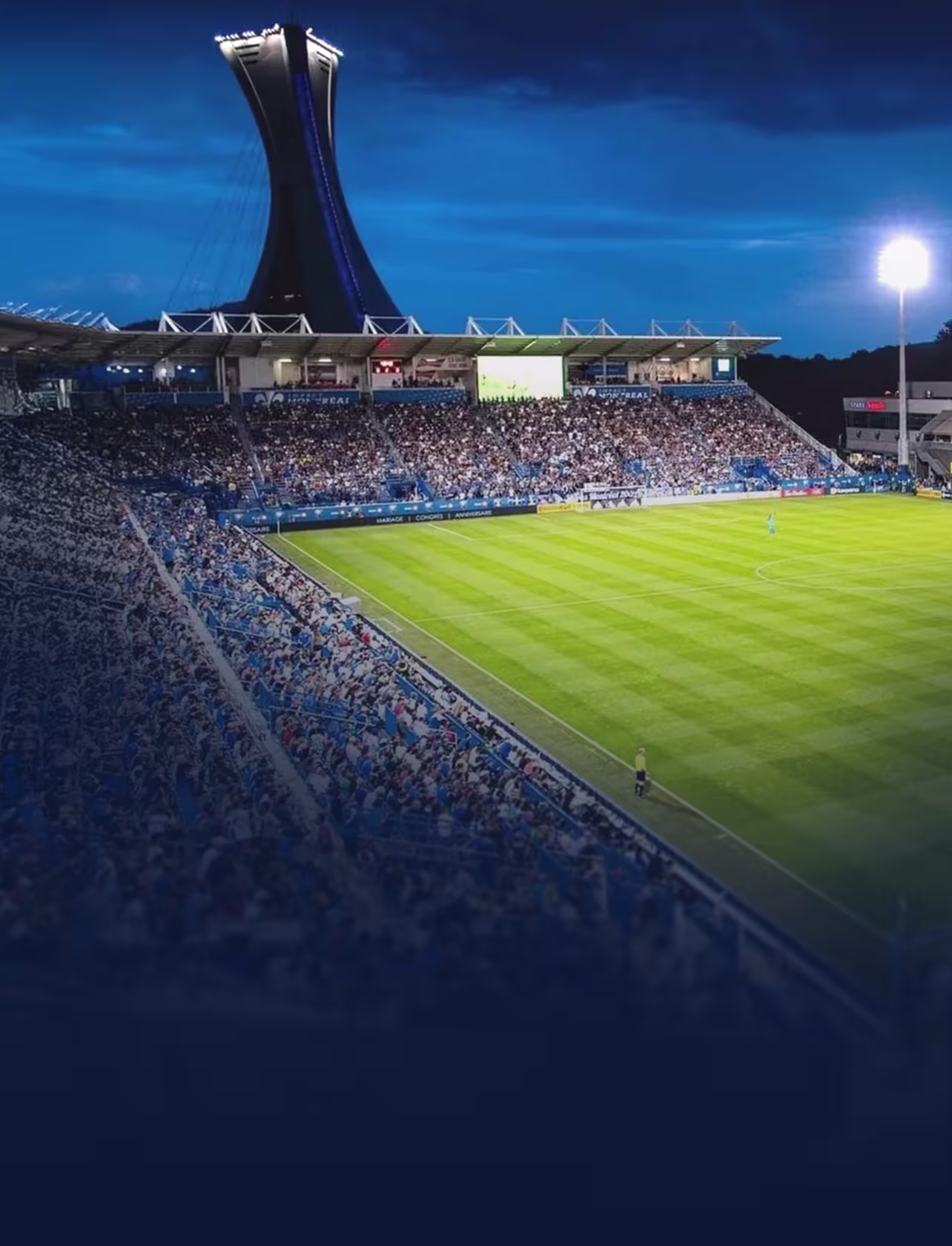 Stade Saputo – Loges panoramiques